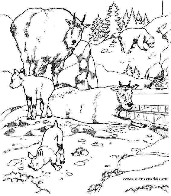 Zoo animal printable coloring page