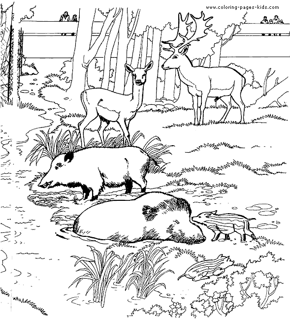Deer and warthogs coloring page