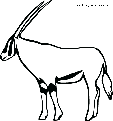 Gazelle