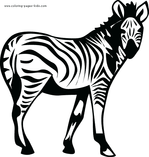 Zebra coloring page