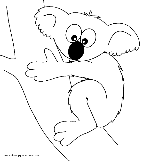 Koala Bear in a tree color page