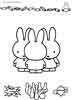 Miffy coloring