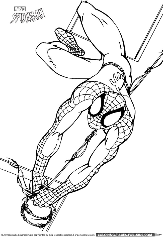 Swinging Spiderman coloring