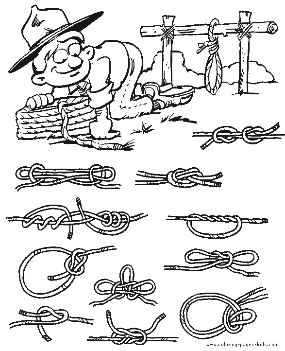 Scout Knots Test