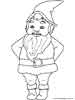 Garden gnome coloring  picture