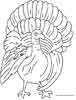 Thanksgiving Turkey coloring pages