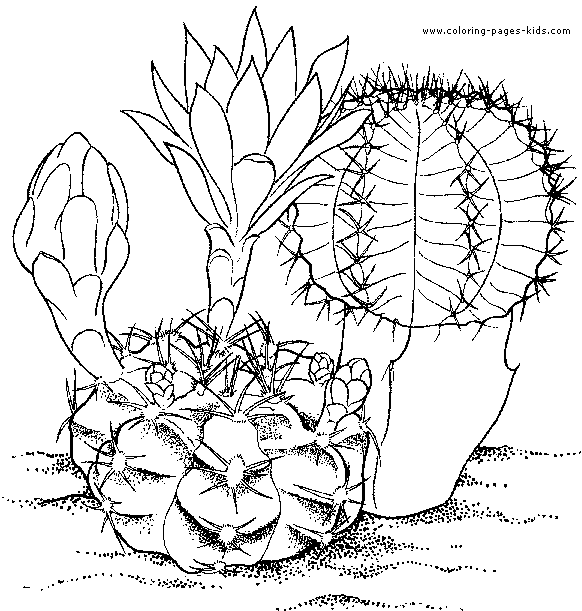 Flowers coloring pages, color plate, coloring sheet,printable coloring picture