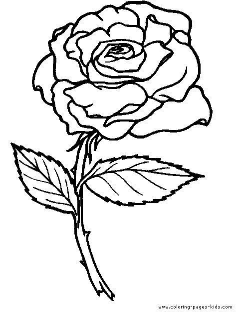 rose Flowers coloring pages, color plate, coloring sheet,printable coloring picture