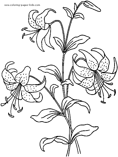 Flowers coloring pages, color plate, coloring sheet,printable coloring picture