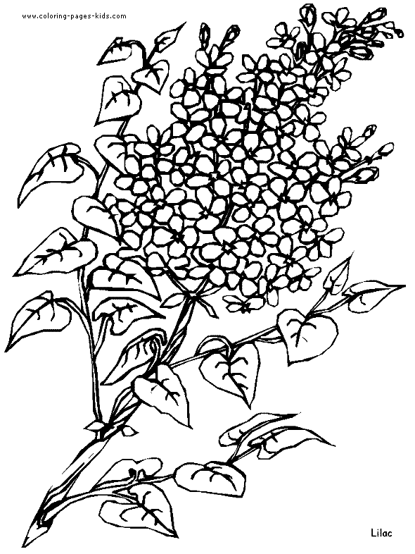 Flowers coloring pages, color plate, coloring sheet,printable coloring picture