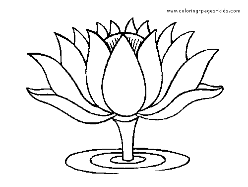 Flowers coloring pages, color plate, coloring sheet,printable coloring picture