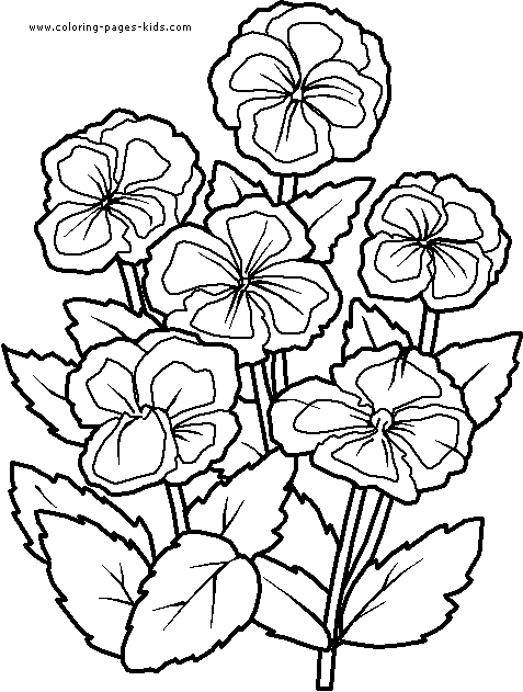 Violets color page Flowers coloring pages, color plate, coloring sheet,printable coloring picture