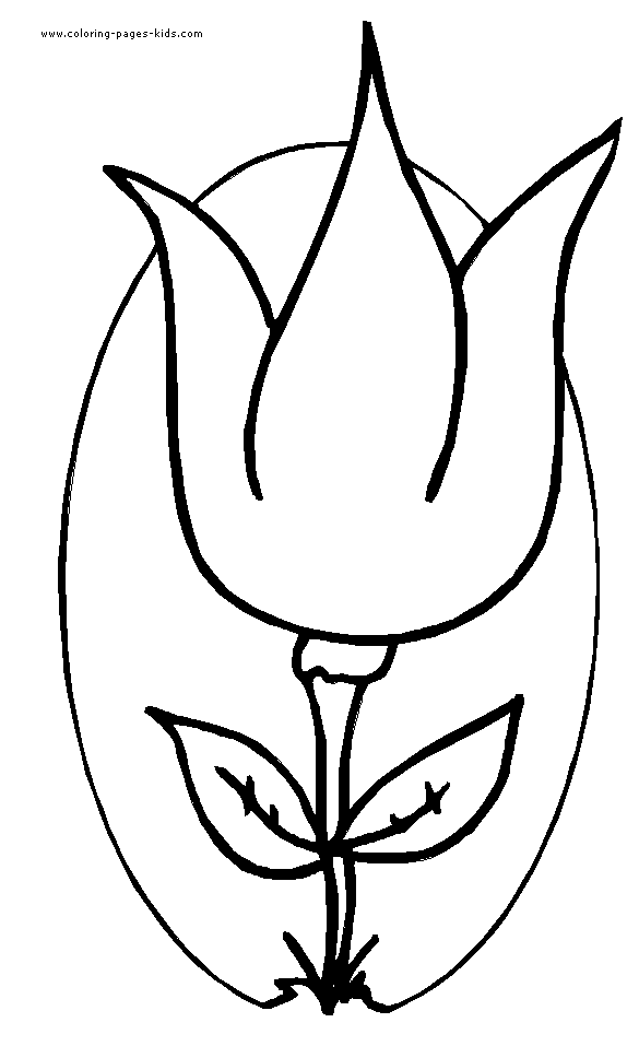 Tulip color page coloring page