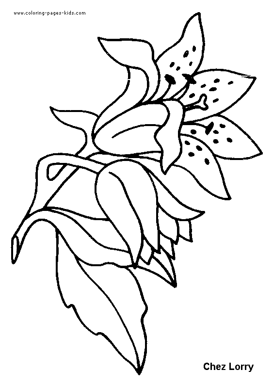 Flowers coloring pages, color plate, coloring sheet,printable coloring picture