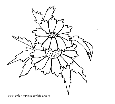 Flowers coloring pages, color plate, coloring sheet,printable coloring picture