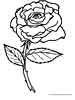 Lovely Rose coloring picture