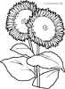 Sunflowers coloring pages for kids