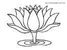 Printable Waterlilly coloring page