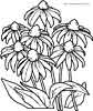 Hanging Flowers coloring page