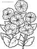 Violets coloring page