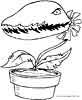 Flesh eating plant coloring page