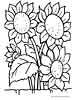 Printable Sunflowers coloring pages for kids