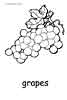 Grapes coloring picture