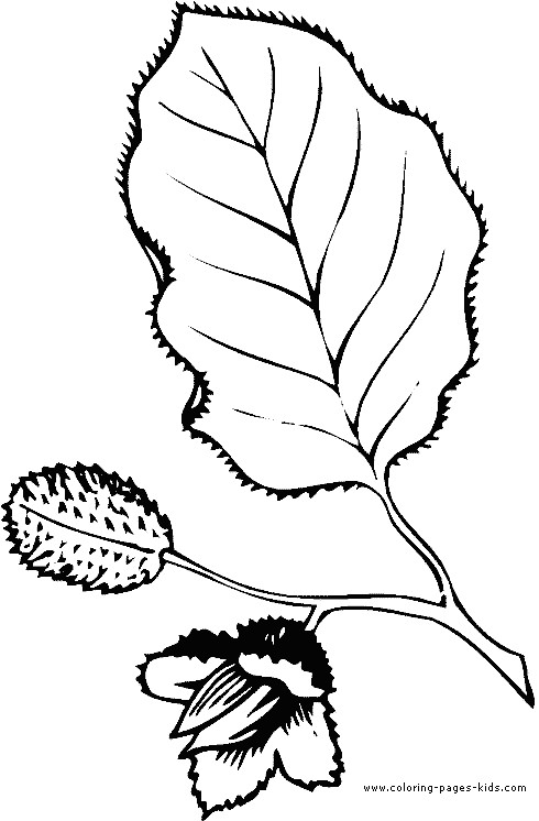 Leaf color page,  coloring pages, color plate, coloring sheet,printable coloring picture