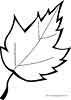 Leaf coloring pages for kids