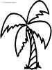 Palm tree coloring page