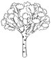 Tree colouring sheet