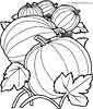 Pumpkins coloring picture
