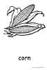 Corn coloring page