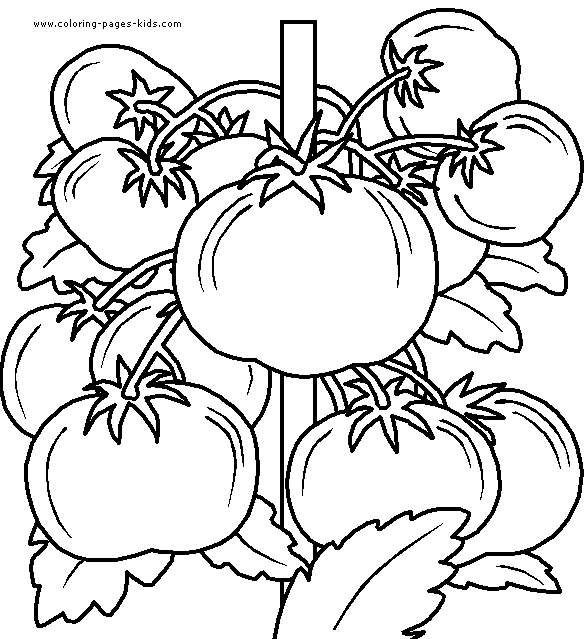Tomato's Vegetable color page, coloring pages, color plate, coloring sheet,printable coloring picture