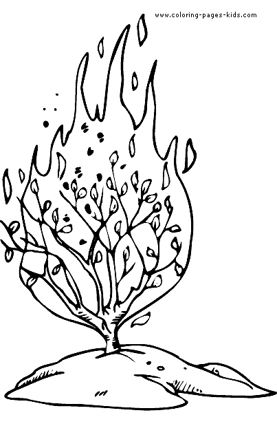 Burning bush coloring picture